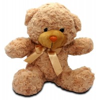 Hugs and Kisses Teddy Bear