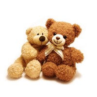 Couple Bear