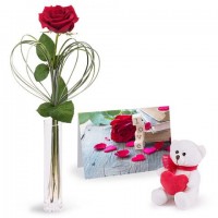 Love Combo: Red Rose and Tedd