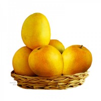 Mangoes for You 