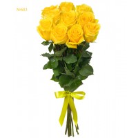 Canary Yellow Roses