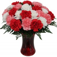 Carnation Trio Bouquet