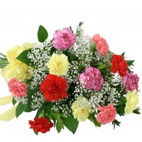 Rainbow Carnation Bouquet