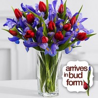 Tulips & Iris Bouquet