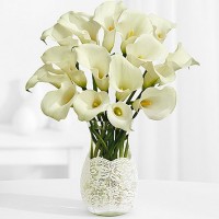 Gorgeous White Lilies