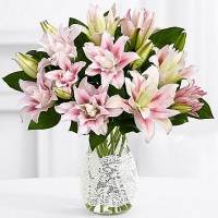 All Time Classic Lilies