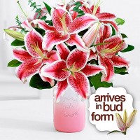 Fragrant Stargazer Lilies