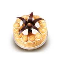 Hazelnut Chocolate Ice Cream Cake