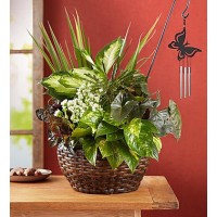 Butterfly Chime Dish Gaden