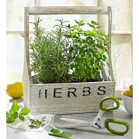 Herb Garden