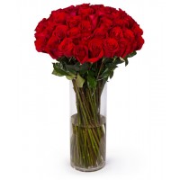 Ultimate Red Long Stem Roses
