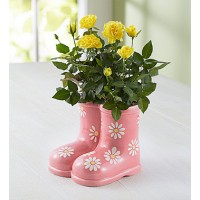 Rain Boot Roses