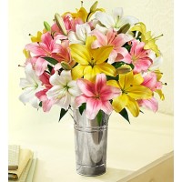 Sweet Spring lilies