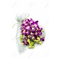 Oriental Orchids
