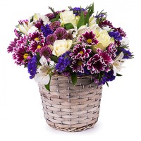 Basket of admiration