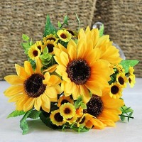Popular Sunflower