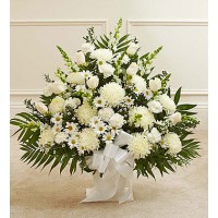 Heartfelt Tribute White 