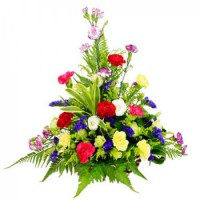 Mixed Carnations in a Vase