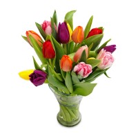 Tulips of Romance