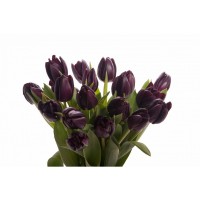 Black tulips bun