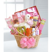 Baby Girl Basket